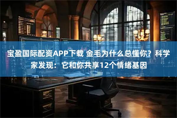 宝盈国际配资APP下载 金毛为什么总懂你？科学家发现：它和你共享12个情绪基因
