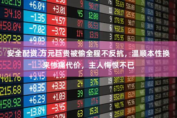 安全配资 万元巨贵被偷全程不反抗，温顺本性换来惨痛代价，主人悔恨不已